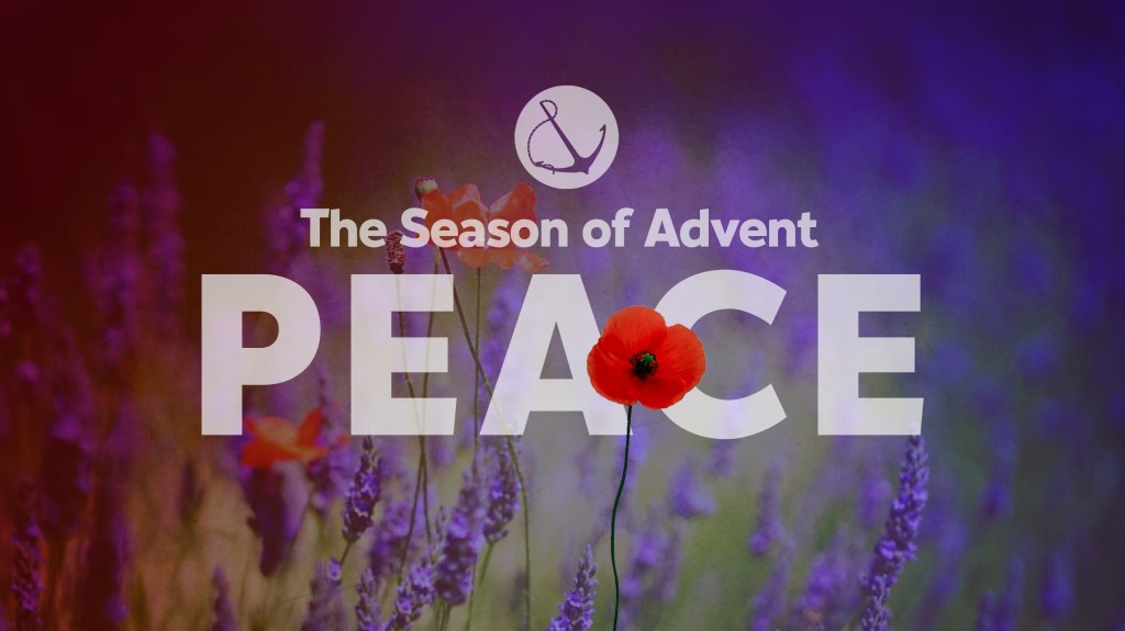 Image of a flower field with text overlaid, "The Season of Advent: Peace"