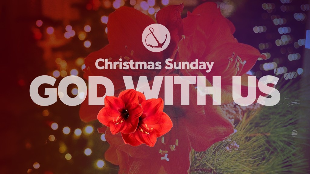 Image of amaryllis flowers and a Christmas tree with text overlaid, "Christmas Sunday: God with us"
