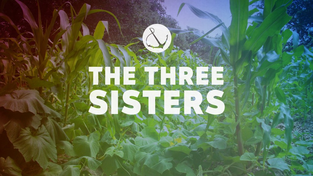 Image of crops growing, including maize, beans, and squash with text overlaid, "The Three Sisters"