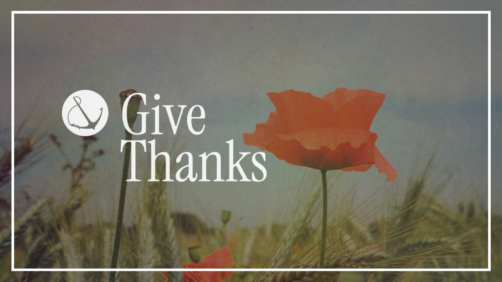 Image of a poppy flower with text overlaid, "Give Thanks"