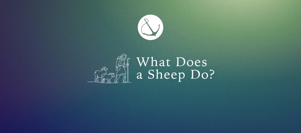 Colorful gradient with line drawing of shepherd with sheep and text overlaid, "What Does a Sheep Do?"